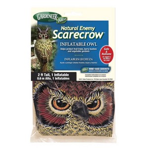 Dalen Scarecrow Inflatable Owl For Assorted Species 1 pk - 1 of 1
