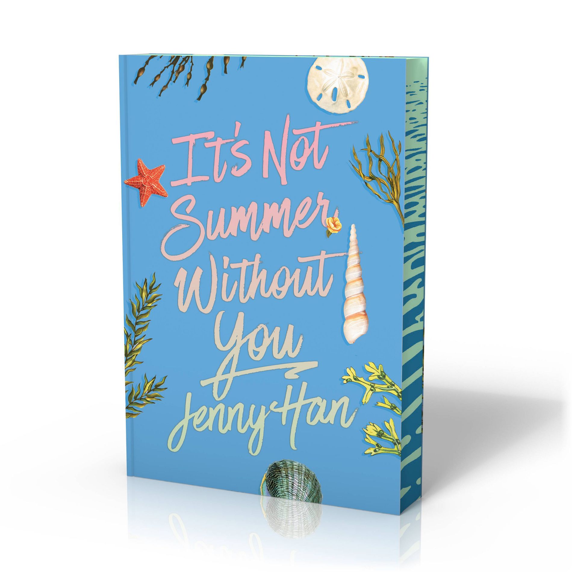 It's Not Summer Without You (Deluxe Edition) - (Summer I Turned Pretty) by  Jenny Han (Paperback)