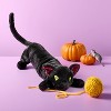 31" Black Cat Stuffed Animal - Gigglescape™ - 2 of 3