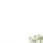 gray column blue curtain white mesh