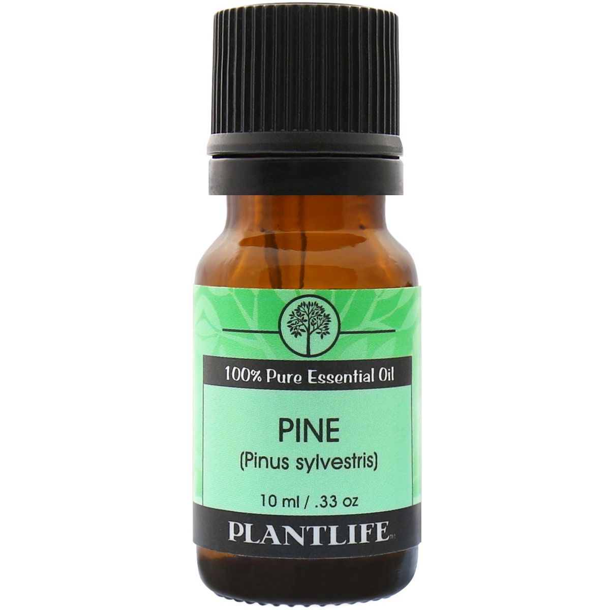 Plantlife Pine Essential Oil – 100% Pure & Therapeutic Grade – Natural, Undiluted & Steam-Distilled – No Additives or Fillers – 10ml Aromatherapy