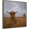 22" x 22" It wasn't me Highland Cow by Gert van den Framed Canvas Wall Art Print - Amanti Art: Animal-Themed Decor - 2 of 4