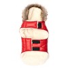 The Worthy Dog Park City Puffer Hoodie Jacket - 2 of 3