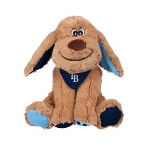 MLB Tampa Bay Rays 10'' Floppy Ear Dog Stuffed Animal: Sports Plush Toy, All Ages - 1 of 2