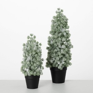 16"H & 11"H Sullivans Artificial Flocked Pine Christmas Tree Set of 2, Green-White, Indoor Christmas Decor - 1 of 3