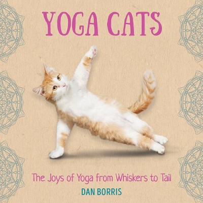 Yoga Cats - by  Dan Borris (Hardcover)
