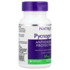 Natrol Pycnogenol®, 60 Capsules - 4 of 4
