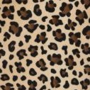 brown leopard spot