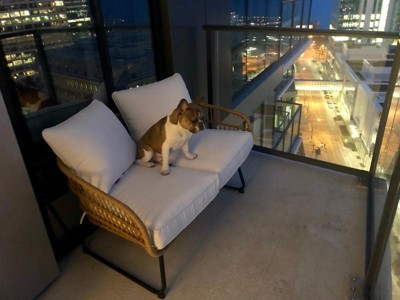 Guest review image 1 of 2, zoom in