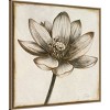 30"x30" Sepia Lotus Blossom II by Patricia Pinto Framed Canvas Wall Art Print Bronze - Amanti Art: Hand-Stretched, Modern Decor - 2 of 4