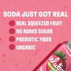 Evolution Fresh Strawberry Vanilla Real Fruit Soda - 12 fl oz - 4 of 4