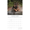 2026 Square Wall Calendar, German Shepherds, 16-Month Paw Prints Theme with 180 Reminder Stickers (12x12 In) - 3 of 4