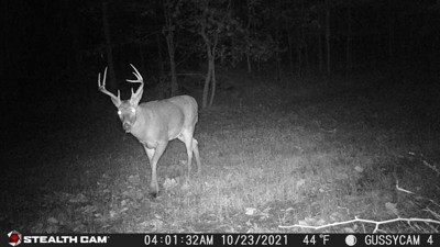 Guest review image 1 of 5, zoom in