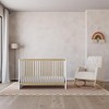 Pro Goleem 3-in-1 Convertible Crib - 3 of 3