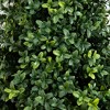 Nearly Natural 3-ft UV Resistant Artificial Boxwood Plant with Integrated Ground Stake (Indoor/Outdoor) - Set of 2 - 3 of 3