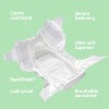 Parasol Clear+Dry Natural Disposable Diapers - Size 5 - 6ct - 3 of 4