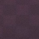 checkered purple