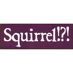 Slickblue Squirrel!? Text Sign, 3.5x10 Rustic Pine Wood Plaque, Hanging or Shelf Decor Sign, Multiple Colors - 1 of 3