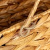 Household Essentials Wicker Stair Basket with Handles: Water Hyacinth, Rectangle, 15.94" H, 14.96" D, 9.44" W, Brown - 3 of 4