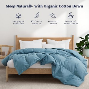Puredown All Season Organic Cotton Down Comforter - 100% Natural, Chemical-Free, Medium Warmth Duvet Insert, Steel Blue, Full/Queen - 1 of 4
