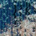 blue/beige