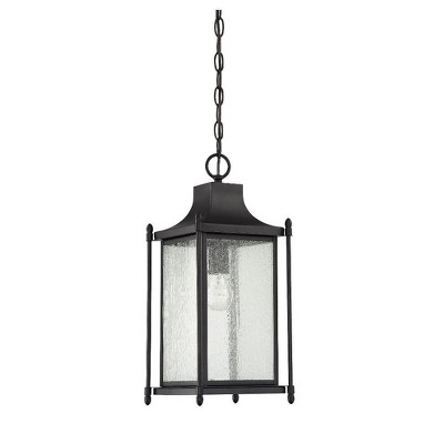 Dunnmore Black and Clear Glass Outdoor Hanging Lantern