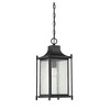 Savoy House Dunnmore 1 - Light Pendant in  Black - 2 of 4