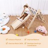 Wooden Climbing and Sliding Indoor Gym Playset for Toddlers - 3 of 4