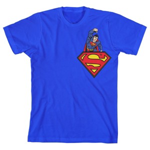 Superman Hero and Logo Fist Pump Boy's Royal Blue T-shirt - 1 of 3