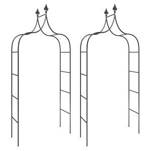 vidaXL Garden Arch Trellis - Set of 2 Black Powder-Coated Steel Arches, 47.2"x15"x102.4", Decorative Climbing Plant Support - 1 of 4