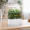 AeroGarden Harvest XL Bundle Hydroponic Indoor Herb Garden LED Grow Light Growing Kit with Trellis, 18 Seed Pods, Bonus Seed Kits, & Plant Food, White - 2 of 4