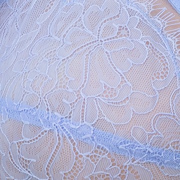 hydrangea