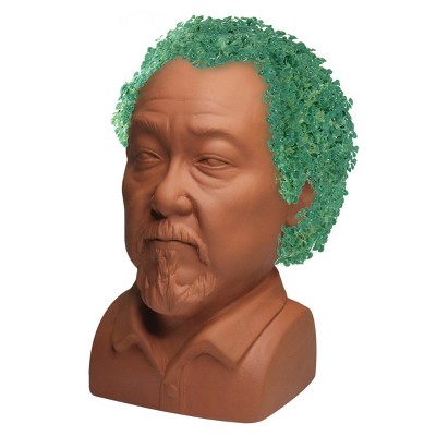 Chia The Karate Kid - Mr. Miyagi