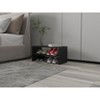 VYNXARIA Norris Black Shoe Rack - Compact, Durable & Ideal for Small Spaces - 2 of 4
