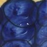 grapes  with cobalt trim