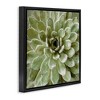 Stupell Industries Green Botanical Succulent Bloom, 25" x 25" - 3 of 4
