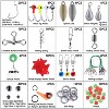 iMounTEK "188-Piece Portable Fishing Accessory Kit with Hooks, Sinkers, Lures, Weights & Tackle Box"Transparent - 2 of 4