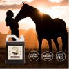 Hemp Well Horse Hemp Seed Oil for Everyday Health - 1 Gallon - 4 of 4