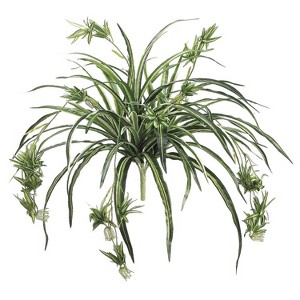 Allstate Floral 34" Green and White Artificial Spider Plant - 1 of 1