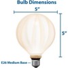 Festive Living G125 + LED Filament Outdoor Covered Patio Pendent Edison Replacement Bulbs, Warm White 2700K, E26 Medium Base - 3 of 4