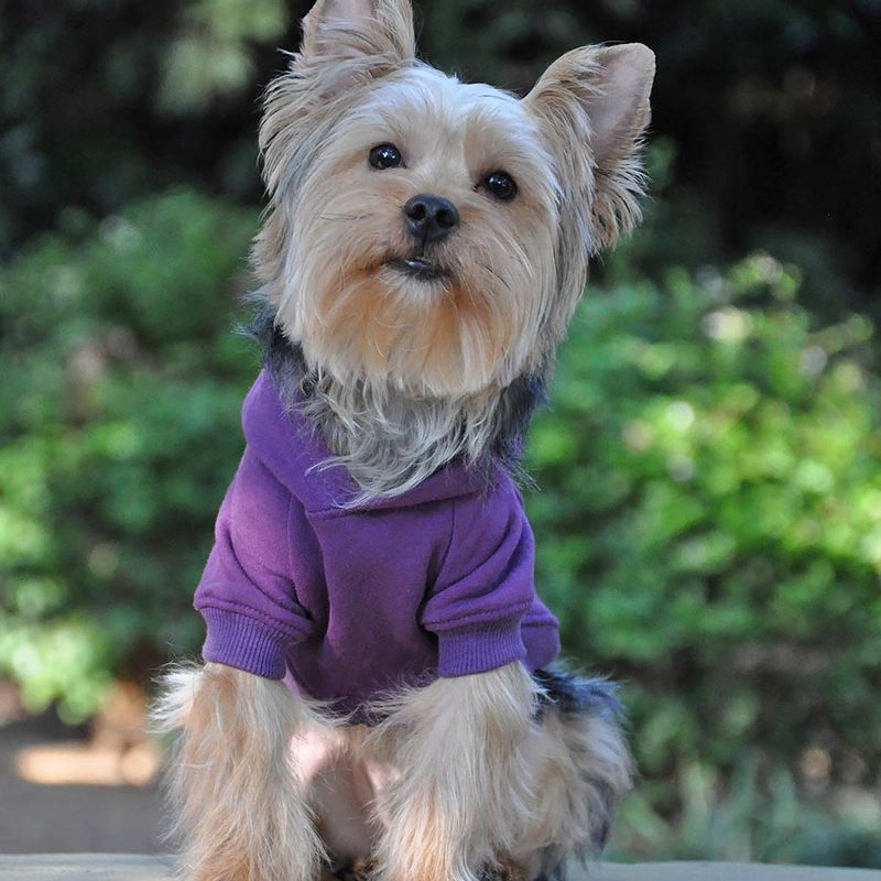 Doggie Design Flex-Fit Hoodie-Purple, 4 of 7