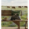 Manual Woodworkers & Weavers Southwestern Pillow – Longhorn & Bluebonnets 18" Climaweave - 2 of 3