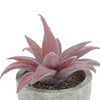 Unique Bargains Artificial Plants Flocked Mini Beak Aloe in Pulp Plastic Red 3.35"x3.35"x3.74" 1 Pcs - 4 of 4