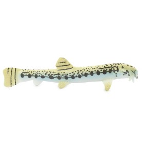 Collectible Wildlife Gifts | Fish, Spiny Loach, Spined, Spotted, Museum Quality, Hand Painted, Rubber, Realistic Model,  Toy, Gift, 4 1/2" CH544 BB159 - 1 of 4