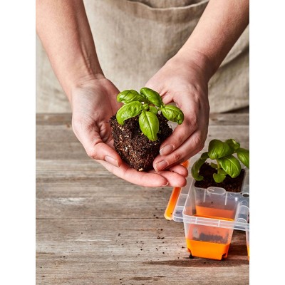 Orange Silicone 8-Cell XL Windowsill Seed Starting Tray