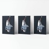 Happy Birthday Greeting Card Pack (3ct) "Shark HBD" by Ramus & Co - 2 of 4