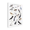 Trademark Fine Art - Sarah Frances British Coastal Birds Canvas Art - 4 of 4