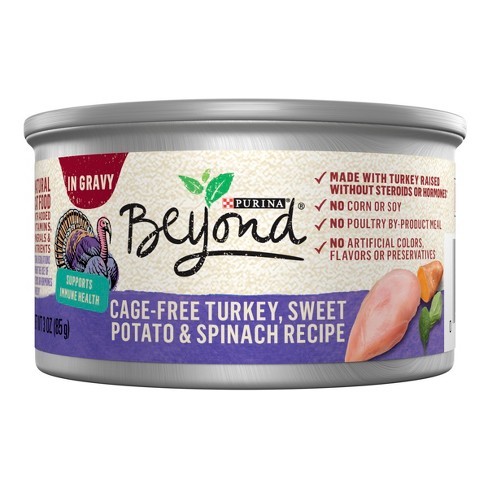 Purina Beyond Grain Free In Gravy Premium Wet Cat Food Turkey