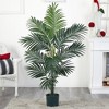 Nearly Natural 5-ft Kentia Palm Silk Tree - 2 of 2