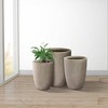 Rosemead Home & Garden 3pc Concrete Outdoor Planter Pots Beige - 4 of 4